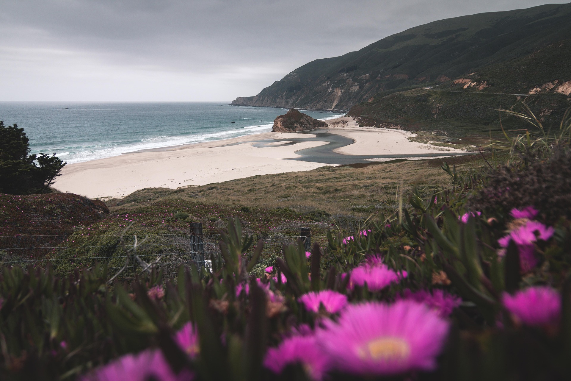Californian Coast