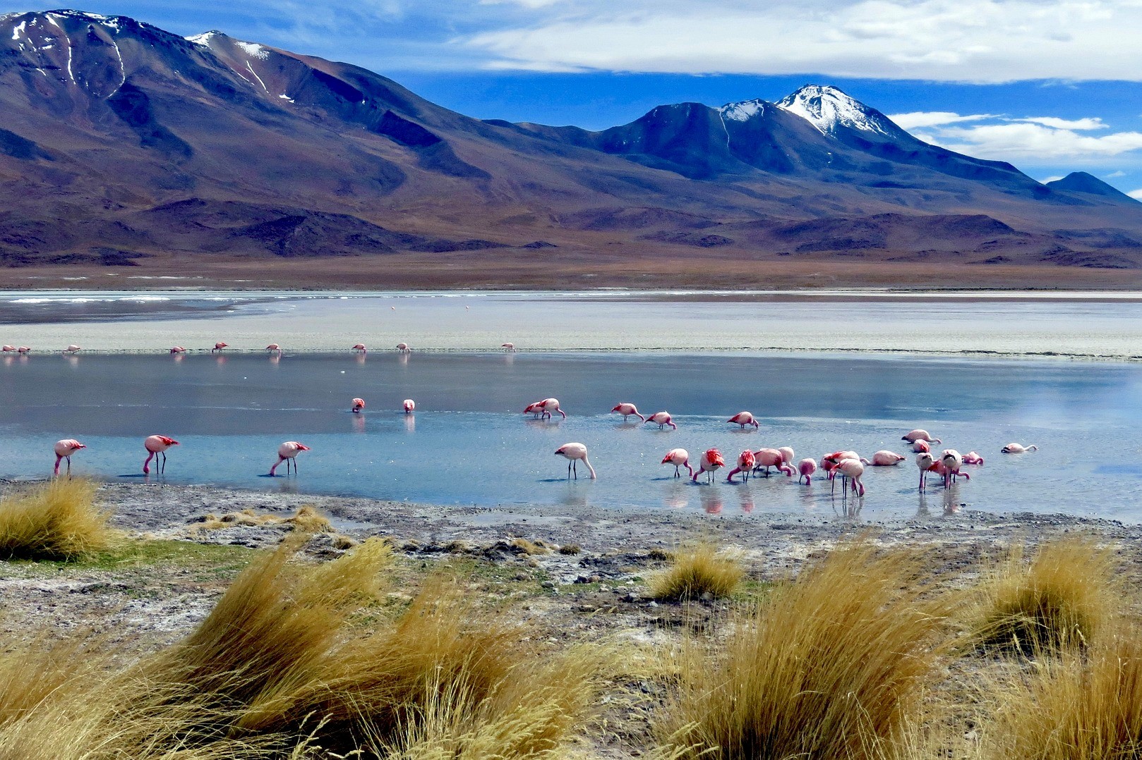 Andes in Ecuador