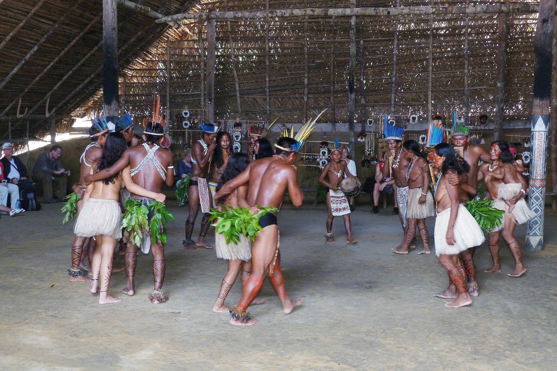 Amazon forest